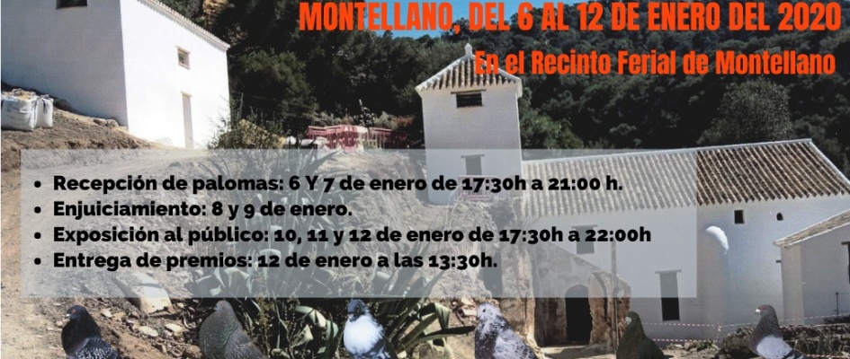 XX_concurso_palomas_raza