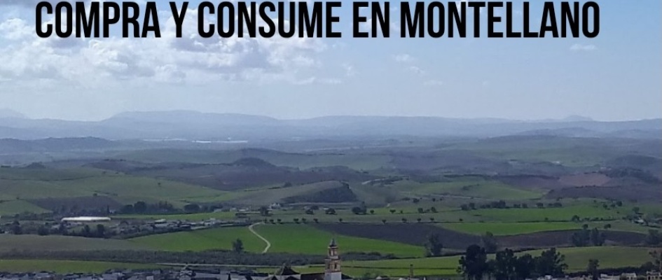 Yo_me_comprometo_portada