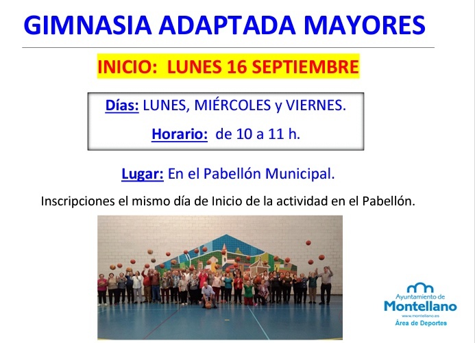 gimnasia adaptada 2019