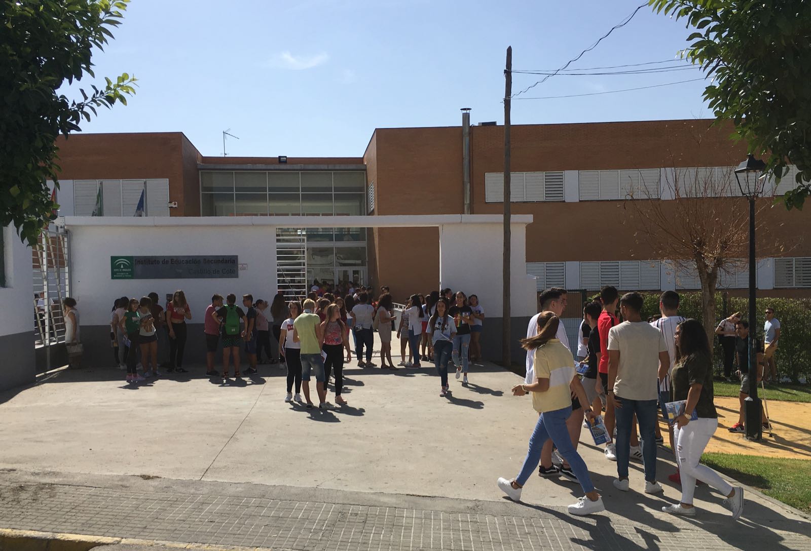 ies.jpeg