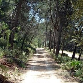 portada6.JPG_1860863330